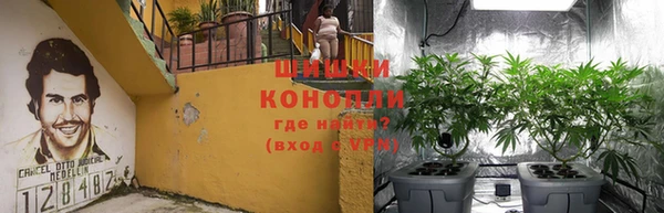 прущий лед Нея
