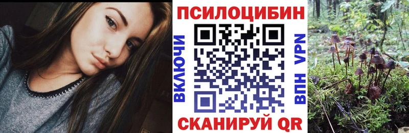 darknet телеграм  Жуковский  Псилоцибиновые грибы Psilocybe  продажа наркотиков 