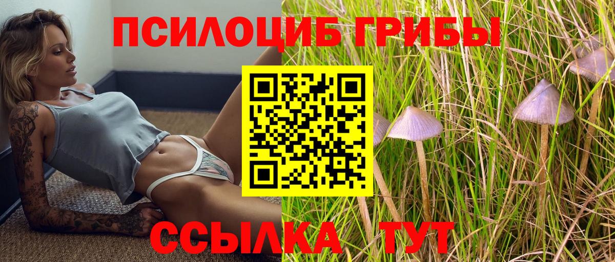 Жуковский  Галлюциногенные грибы Magic Shrooms  Вход с VPN  Галлюциногенные грибы MAGIC MUSHROOMS 