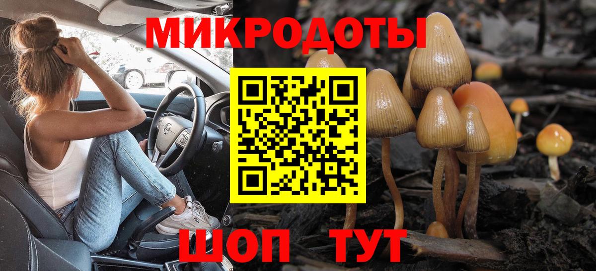 Галлюциногенные грибы прущие грибы Жуковский