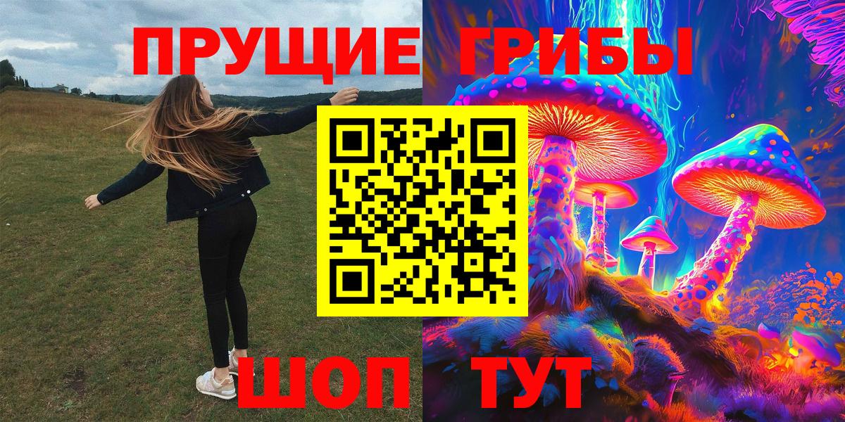 Псилоцибиновые грибы ЛСД  Жуковский  Псилоцибиновые грибы прущие грибы 