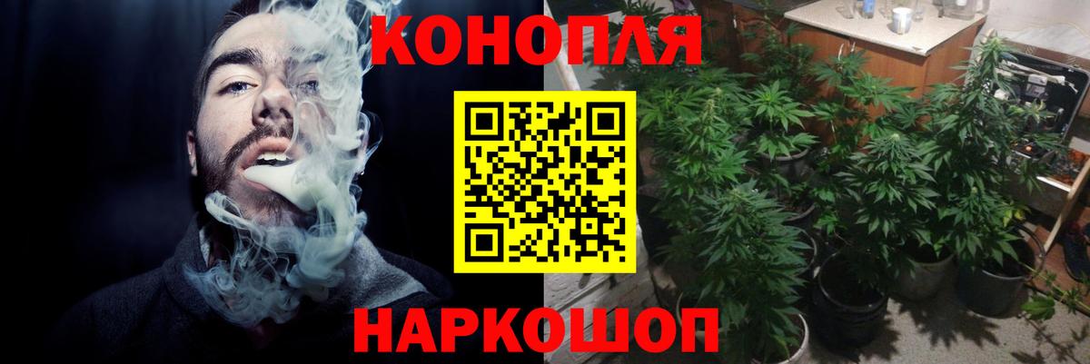 Канабис Ganja  Жуковский  Каннабис семена  Бошки Шишки MAZAR 
